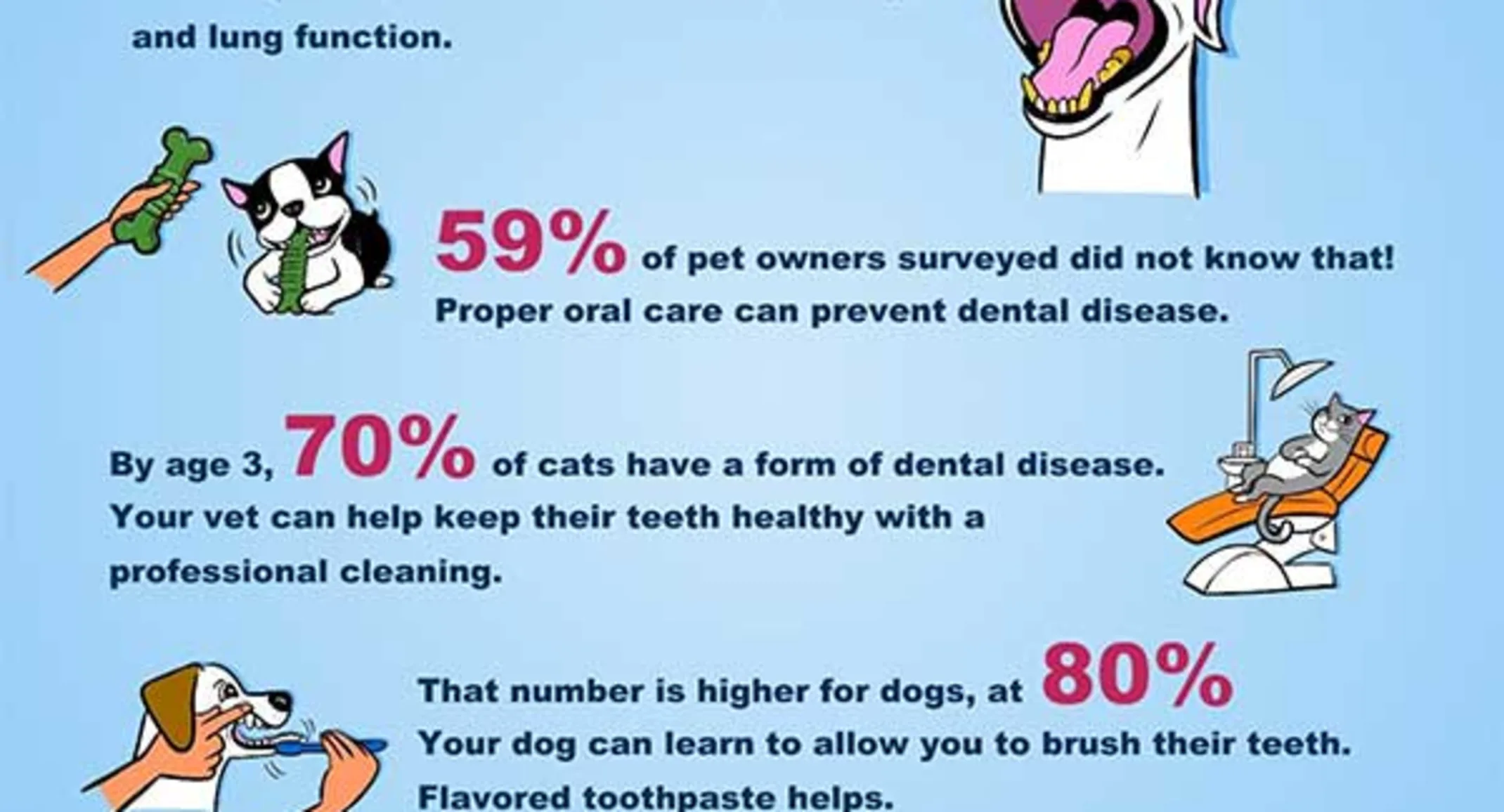 Chart of Dental Care Helps Your Pet Live Longer